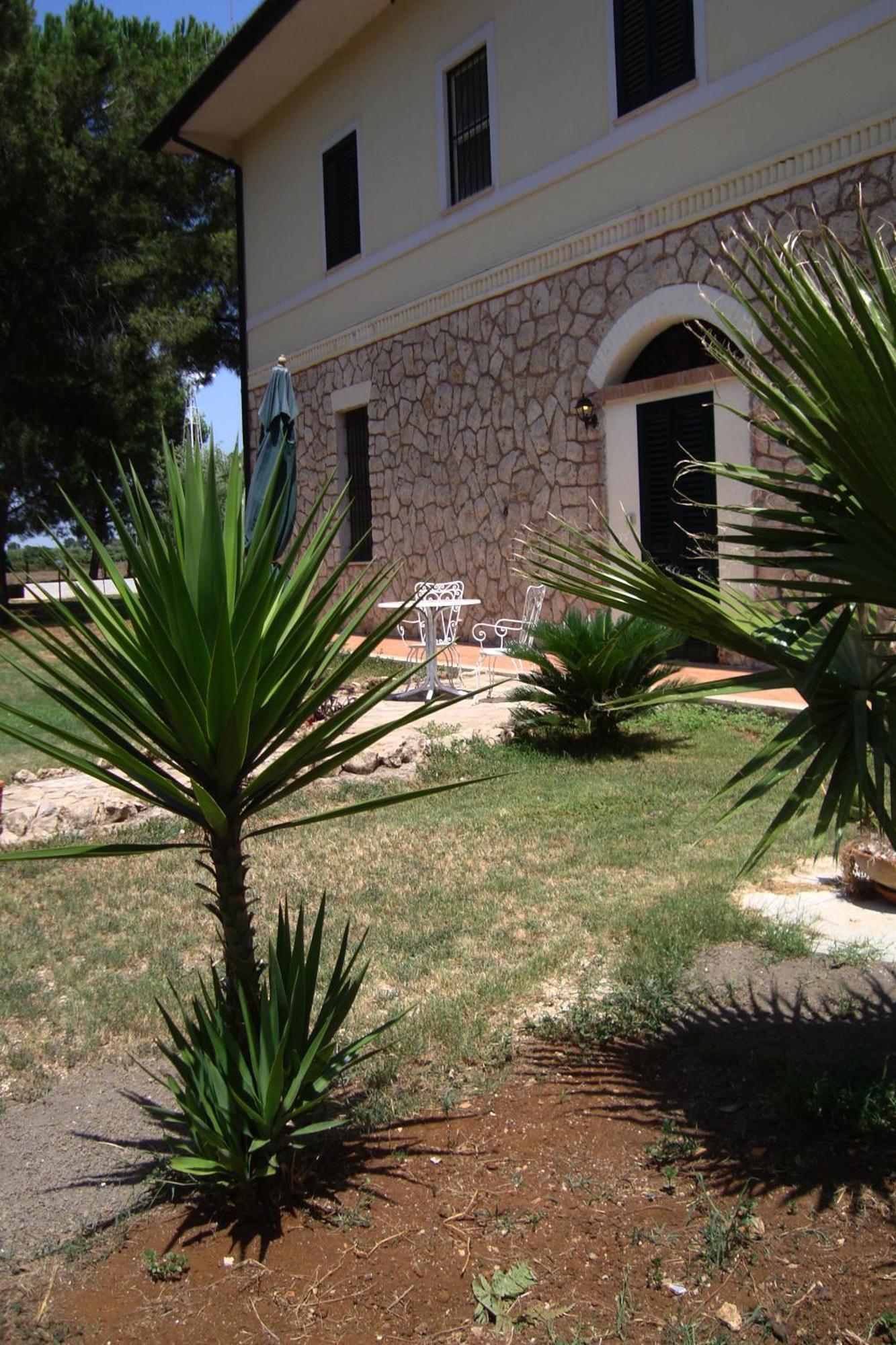 Agriturismo Ali E Radici Cisterna di Latina Quarto foto